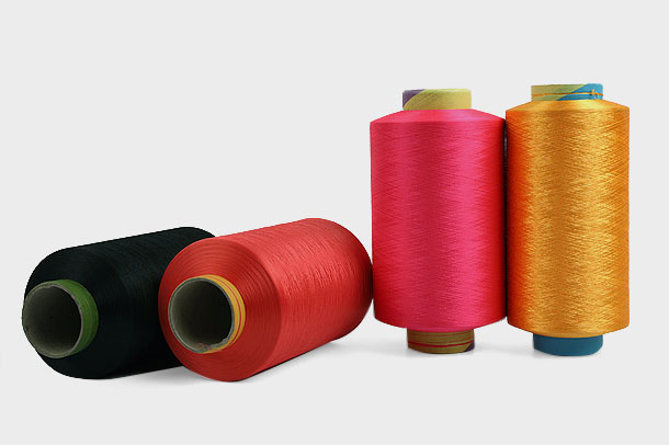 How do producers ensure and enhance the resistance of Polyester DTY yarns to mould and insects